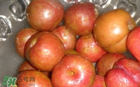 三華李可以泡酒嗎？三華李可以多吃嗎？