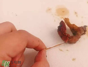 周黑鴨小龍蝦好吃嗎？周黑鴨小龍蝦試吃評測