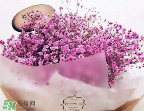 母親節(jié)可以送滿天星嗎？母親節(jié)能送滿天星嗎？