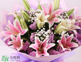 百合花多少錢一支2017？百合花多少錢一束2017？
