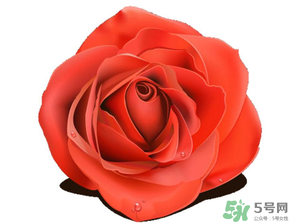 母親節(jié)送什么顏色的玫瑰花？母親節(jié)送幾朵玫瑰花？