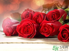 母親節(jié)送什么顏色的玫瑰花？母親節(jié)送幾朵玫瑰花？