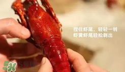 周黑鴨小龍蝦怎么吃？周黑鴨小龍蝦怎么吃圖解？