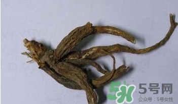 土瓜根是什么？土瓜根粉哪里有賣(mài)的？