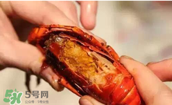 周黑鴨小龍蝦怎么吃？周黑鴨小龍蝦怎么吃圖解？