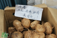 涼薯怎么做好吃？涼薯怎么炒好吃