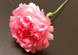 母親節(jié)可以送紙做的康乃馨嗎？康乃馨怎么折？