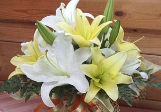 百合花多少錢一支2017？百合花多少錢一束2017？