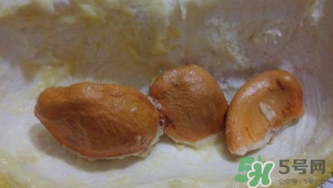 榴蓮核能種嗎？榴蓮核怎么種盆栽？