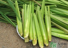 茭白能放冰箱嗎？茭白可以放冰箱多久