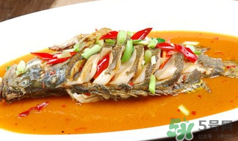 鱖魚(yú)怎么做好吃？鱖魚(yú)怎么做給寶寶吃