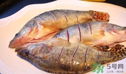 鱖魚是桂魚嗎？鱖魚和桂魚的區(qū)別