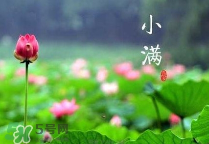 2017小滿是幾月幾日？小滿節(jié)氣養(yǎng)生
