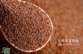 海藻面膜要泡多久最好？海藻面膜要泡多長(zhǎng)時(shí)間？