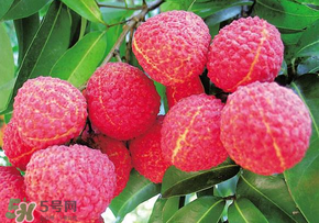 荔枝和蝦能一起吃嗎？荔枝與蝦同食會中毒嗎？