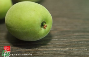 青梅可以直接吃嗎？剛摘下的青梅可以直接吃嗎?？