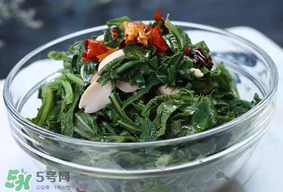 苦菜怎么保存？苦菜怎么保存時(shí)間長？