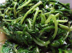 苦菜可以曬干嗎？苦菜怎么曬干？