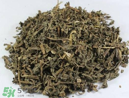 苦菜可以曬干嗎？苦菜怎么曬干？