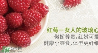 刺泡的熱量 刺泡可以減肥嗎？
