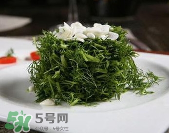 茴香菜怎么做好吃？茴香菜怎么炒好吃