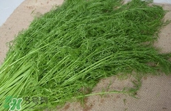 茴香包餃子用焯水嗎？茴香做餡需要焯水嗎