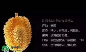 金枕頭和貓山王哪個好？金枕頭和貓山王的區(qū)別