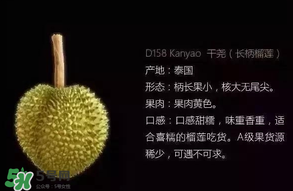金枕頭和貓山王哪個好？金枕頭和貓山王的區(qū)別