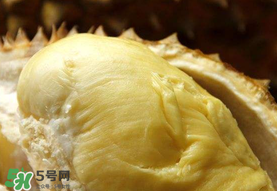 金枕頭榴蓮幾月份上市？金枕頭榴蓮什么時候上市？