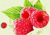 刺泡的熱量 刺泡可以減肥嗎？