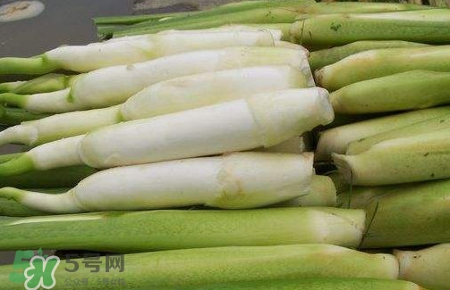 茭白是筍嗎？茭白是高筍嗎