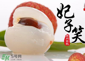荔枝為什么叫妃子笑？荔枝和妃子笑的區(qū)別