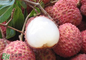 吃荔枝被酒駕怎么辦？吃荔枝酒駕是真的嗎？