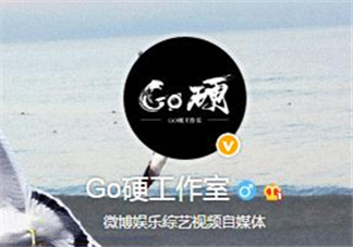 go硬工作室和卓偉有什么關(guān)系？go硬工作室是卓偉前員工成立的？