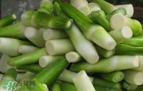 茭白什么時候上市？茭白什么季節(jié)有