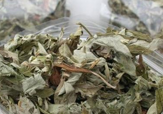 艾葉怎么做枕頭？自制艾葉怎么做枕頭