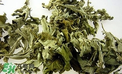 艾葉可以驅(qū)蚊子嗎？艾葉能驅(qū)蚊子嗎