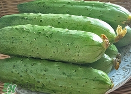 黃瓜敷臉可以美白嗎？黃瓜敷臉美白效果好嗎？