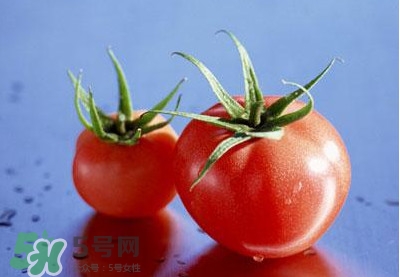 西紅柿能和黃瓜一起吃嗎？黃瓜可以和西紅柿一起吃嗎？