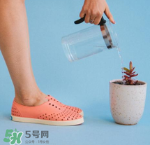 native鞋中文名稱是什么？native鞋中文怎么翻譯？