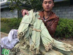 干粽葉怎么煮？干粽葉煮多久？