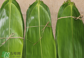 干粽葉要煮嗎？干粽葉到底是泡好還是煮好？
