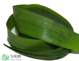 粽葉有幾種？粽葉哪種好？