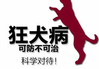 狂犬病會(huì)傳染嗎？狂犬病會(huì)學(xué)狗叫嗎