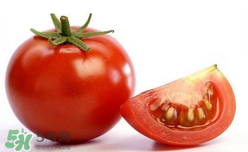 西紅柿不能和什么一起吃？西紅柿與哪些食物相克