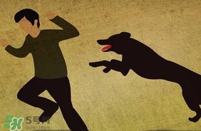 狂犬病疫苗什么時(shí)候打？狂犬病潛伏期最長多久