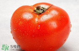 西紅柿能放冰箱冷藏嗎？西紅柿可以放冰箱保鮮嗎