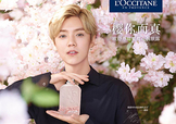 鹿晗代言了歐舒丹嗎？歐舒丹的代言人是鹿晗嗎？