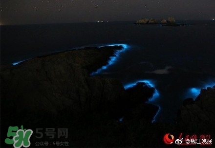 浙江多地驚現(xiàn)藍(lán)眼淚現(xiàn)象 藍(lán)眼淚是什么？