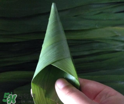粽子葉能冷凍嗎？粽子葉放冰箱冷藏還是冷凍？